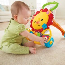 Apoiador Musical Amigos Da Floresta - Fisher Price