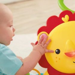 Apoiador Musical Amigos Da Floresta - Fisher Price