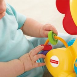 Apoiador Musical Amigos Da Floresta - Fisher Price
