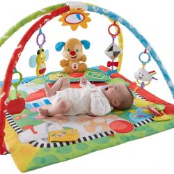 Tapete Ginásio do Cachorrinho – Fisher Price