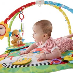 Tapete Ginásio do Cachorrinho – Fisher Price