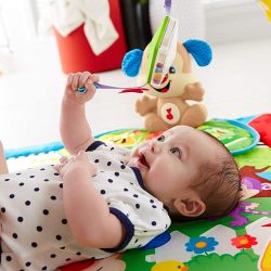 Tapete Ginásio do Cachorrinho – Fisher Price