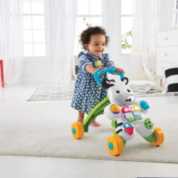 Apoiador Zebra - Fisher Price