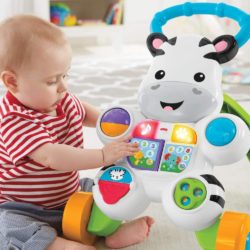 Apoiador Zebra - Fisher Price