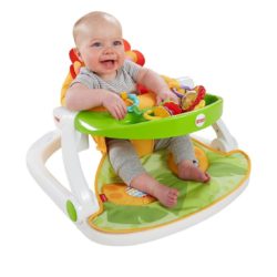 Cadeira Sit-Me-Up Leãozinho Fisher-Price