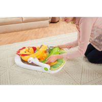 Cadeira Sit-Me-Up Leãozinho Fisher-Price
