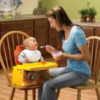 Cadeirinha para Refeição Booster Leãozinho - Fisher Price