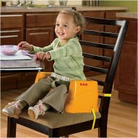 Cadeirinha para Refeição Booster Leãozinho - Fisher Price
