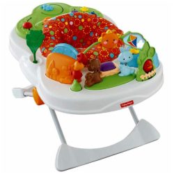 Centro de atividades Snack n Play - Fisher Price