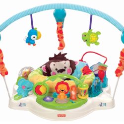 Jumperoo Precious Planet – Fisher Price