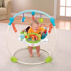 Jumperoo Precious Planet – Fisher Price