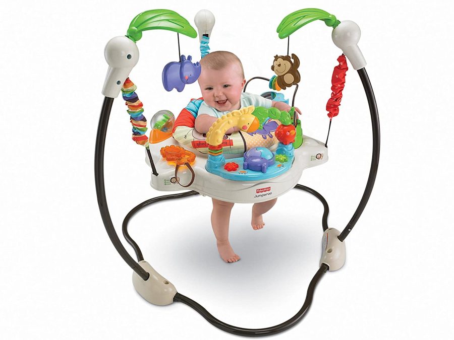 fisher price luv u zoo bouncer