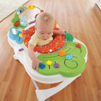 Centro de atividades Snack n Play - Fisher Price
