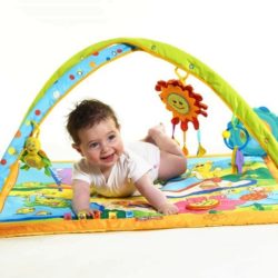 Tapete de atividades Gymini Sunny Day – Tiny Love