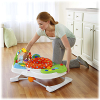 Centro de atividades Snack n Play - Fisher Price